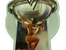 Van Halen Special Limited Edition Picture Disc Why Can't This Be Love No Plinth