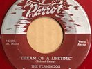 The Flamingos-Dream Of A Lifetime/Merry Way Parrot 808 red wax 45 Doo Wop HEAR
