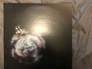 Circa Survive Violent Waves Vinyl