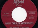Human Expression“ Sweet Child Of Nothingness“ Orig Ca. Garage 1967
