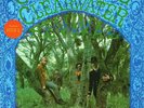 CREEDENCE CLEARWATER REVIVAL - NEAR MINT