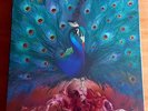 OPETH SORCERESS 2LP ROSEWOOD VINYL BOX SEALED