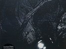 Cocteau Twins ?- The Pink Opaque LP 180 Gram Vinyl Album - Wax And Wane Record