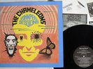 CHAMELEONS JOHN PEEL SESSIONS STRANGE FRUIT SFRLP 114 UK VINYL LP