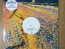 Avalanches - Since I Left You - 12
