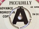 The Sorrows,Baby,EX+ Demo,Piccadilly,Mod,Freakbeat,Garage,1965