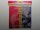 The Jon Spencer Blues Explosion ?– Plastic Fang 2x12