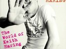 KEITH HARING The World Of.. (Influences + Connections) 3x LP NEW VINYL Soul Jazz