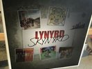Lynrd Skynrd Vinyl Box Set 2014 - NM Condition, 180g Vinyl