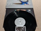 Rare Sparklehorse Good Morning Spider UK 1st Press Near Mint SIGNED PROMO