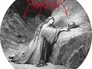 EMPEROR-AS THE SHADOWS RISE (PIC DISC) (UK IMPORT) VINYL NEW