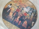 Les Beatles - Plus Grands Succes - Picture  Disc