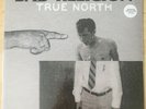 BAD RELIGION True North LP Vinyl, NOFX, Rancid, Social Distortion, Lagwagon