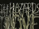 THE DECEMBERISTS The Hazards Of Love Vinyl Record Double Album LP Indie Rock Pop