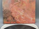 Morbid Angel - Blessed are the Sick 1.PRESS 1991 EARACHE LP / Vinyl RARE