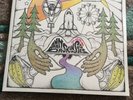 Banana Skin Shows Badly Drawn Boy Signed Vinyl