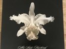 [ROCK] NM 2 DOUBLE LP KINGS OF LEON Aha Shake Heartbreak [2013 RCA 180gm REISSUE