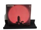 CACTUS - CACTUS-1970 UK VINYL LP - NM/NM - ATLANTIC 1st Pressing