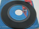 The Newcomers YOU PUT THE SUNSHINE 1970 US STAX / VOLT VOA 4049 MINT MINUS