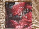 Foals - Everything Not Saved Will Be Lost - Vinyl Box Set