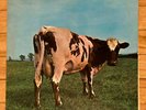 Atom Mother Heart Pink Floyd 1970 SKAO 382 LA Pressing Harvest US Psych