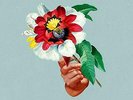 Maribou State-Kingdoms In Colour (US IMPORT) VINYL NEW