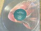 Oh Sees Clearly Invisible 12” Castle Face Records Clear Vinyl Limited Edition