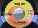 The Survivors-Pamela Jean/Rare Beach Boys/Brian Wilson/ Rare/ Glossy VG- Plays +