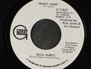 RICK JAMES: Mary Jane / Same 45 (dj, close to M-) Soul