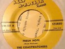 Coastwatchers- Fresh Hope  Bryan Maclean Love Psych Garage Arthur lee