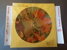 WALT DISNEY'S LADY AND THE TRAMP ORIGINAL SOUNDTRACK PICTURE DISC LP DISNEYLAND