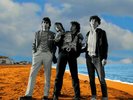 Vinyl LP - VALVES - Better Late (2020) NEW : Edinburgh Punk Legends PORTOBELLO