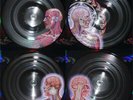 Tool - Lateralus 614223116013 (Vinyl Used)
