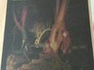 Echo and the bunnymen crocodiles Record Store Day RED VINYL