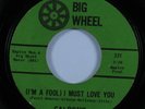 Northern Soul 45 FALCONS (I'm A Fool) I Must Love You BIG WHEEL VG+ HEAR
