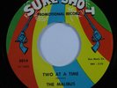 Northern Soul 45 MALIBUS Two At A Time SURE-SHOT VG+ promo HEAR