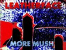 Leatherface ?– More Mush LP rare hot water music husker du NEW MINT conditions