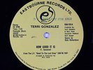 Terri Gonzalez - How Good It Is 12