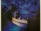 ORIGINAL Vtg ECHO & THE BUNNYMEN Album OCEAN RAIN Killing Moon RECORD Lp EX COND