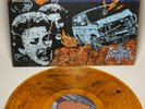 THE SAWTOOTH GRIN - 'Cuddlemonster' 12