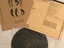 Normal Brain Lady Maid 1980 Vanity Records Vinyl