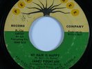 Funk 45 JAMES FOUNTAIN My Hair Is Nappy PEACHTREE HEAR