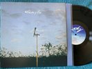 CLUSTER & ENO 2009 LP.  Bureau B SKY Album BB029 GERMAN vinyl