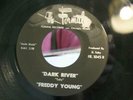 FREDDY YOUNG DARK RIVER INSTRUMENTAL 45 ON FORMAT 1045