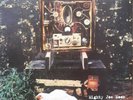 GRANT LEE BUFFALO original Vinyl LP Mighty Joe Moon (1994)