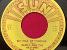 RANDY & THE RADIANTS   MY WAY OF THINKING / TRUTH 45 (1965) SUN 398 RARE GARAGE