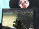 Fleetwood Mac - Tango In The Night (Everywhere, Little Lies) Vinyl LP Inner NM