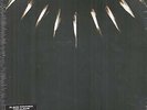 BLACK PANTHER: MUSIC FROM AND INSPIRED BY Various Artists DOUBLE LP 13 Track