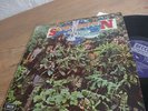 SAVOY BROWN A STEP FURTHER 70s UK DECCA Lp Blues Rock