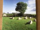 THE KLF CHILL OUT Clear Vinyl LP REISSUE UK KLF COMMUNICATION MINT